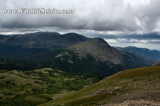 Click Picture to send as an  E-PostCard 63k 550x367